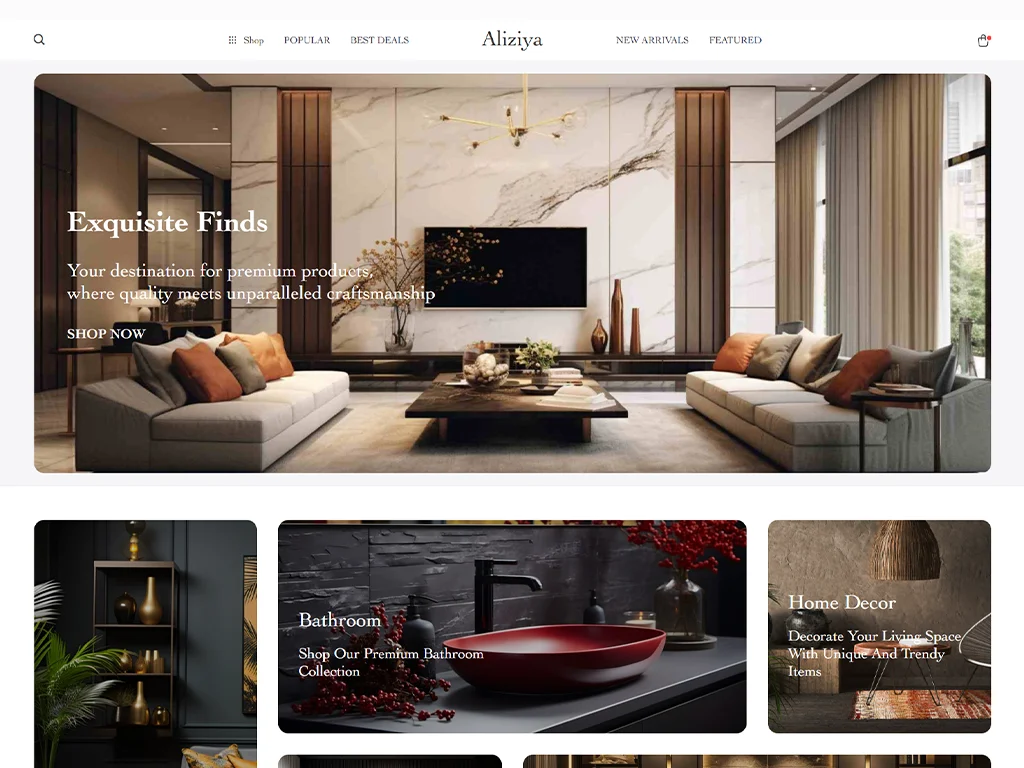 Aliziya Website 1